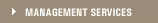 Management Services